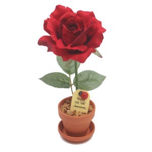 May include: A single red silk rose in a small terracotta pot with a tag that reads "Happy 12th Silk Anniversary" and a ladybug.