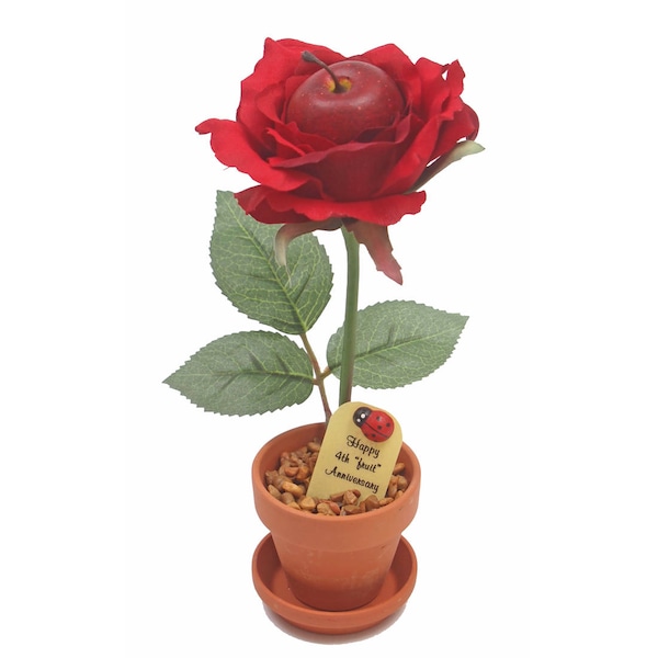 4th Anniversary gift - "fruit" desk rose