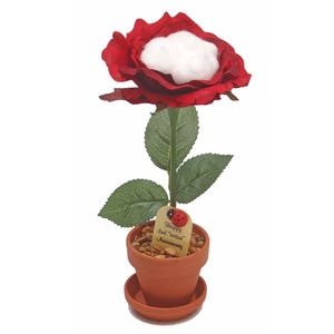 2nd Anniversary gift - "cotton" desk rose