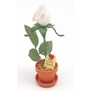 May include: A white ceramic rose in a terracotta pot with a yellow tag that reads "Happy 17th "shell" Anniversary" with a red ladybug on the tag.