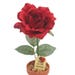 see more listings in the JustDeskRoses section