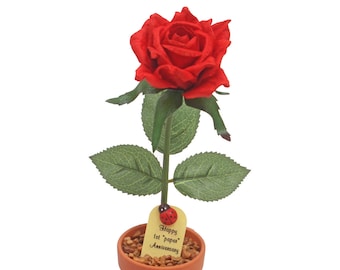 1st Anniversary gift - "paper" desk rose