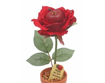 4th Anniversary gift - "fruit" desk rose