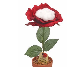 Cotton Rose Etsy