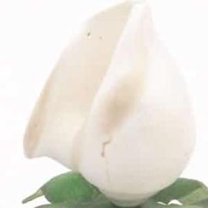 17th Wedding Anniversary Gift - 