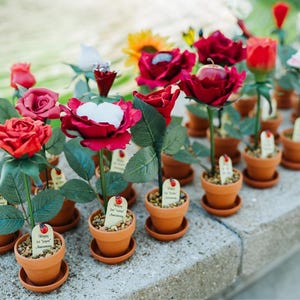 May include: A collection of small potted red roses with white accents, some with a small red apple in the center. The pots are decorated with small tags that say "Happy 1st Anniversary".