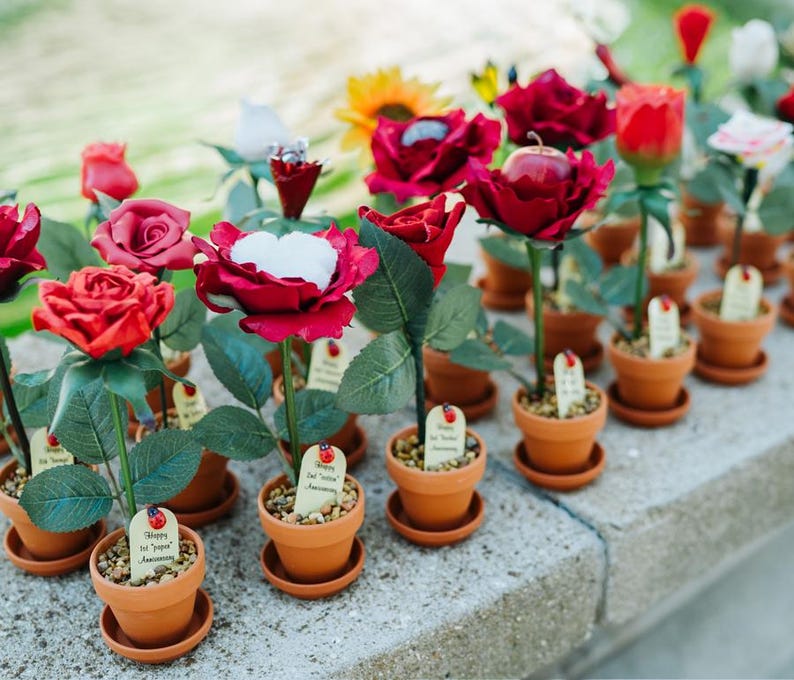 May include: A collection of small potted red roses with white accents, some with a small red apple in the center. The pots are decorated with small tags that say "Happy 1st Anniversary".