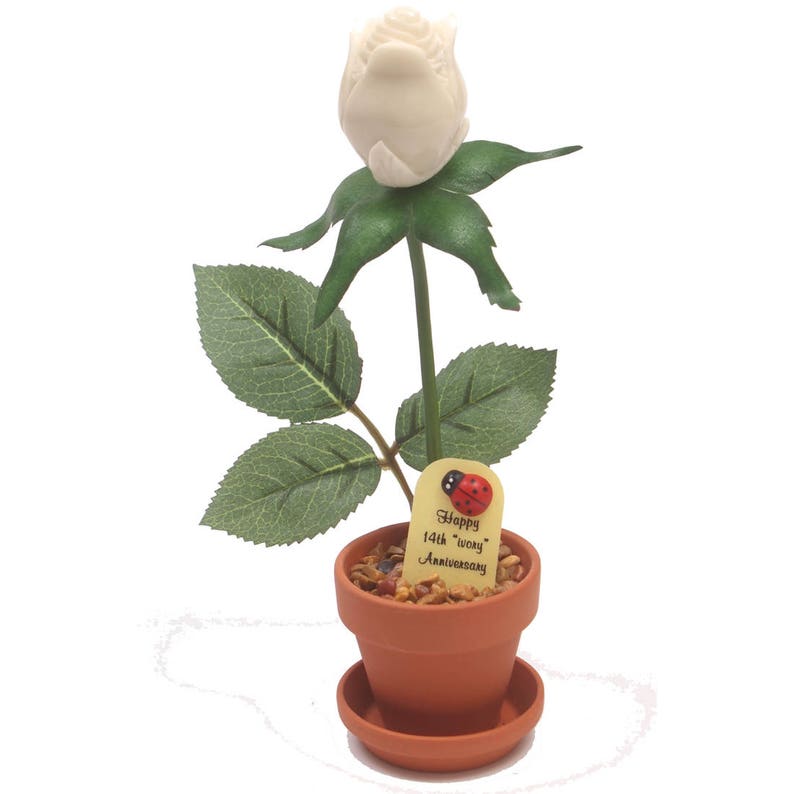 May include: A white porcelain rose in a small terracotta pot with a tag that reads "Happy 14th "Wood" Anniversary" and a ladybug.