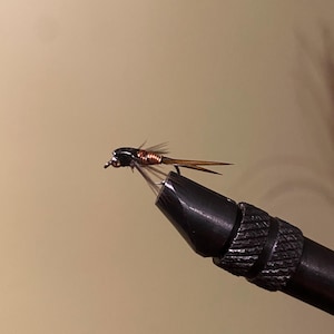 May include: A close-up of a fly fishing lure. The lure has a black head, copper-colored body, and brown tail feathers. It is held in a black vise against a neutral background. The fly is designed to mimic an insect.