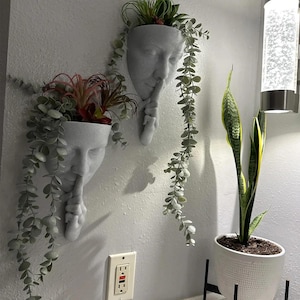 May include: Two gray wall planters shaped like faces with a finger to the lips, holding plants. Trailing greenery and colorful succulents spill from the planters. A white pot with a snake plant is on the right.