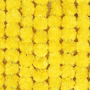 May include: A dense arrangement of bright yellow marigold flowers, creating a textured, vibrant background. The flowers are tightly packed, showcasing their ruffled petals and a cheerful, sunny aesthetic.