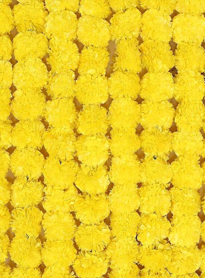May include: A dense arrangement of bright yellow marigold flowers, creating a textured, vibrant background. The flowers are tightly packed, showcasing their ruffled petals and a cheerful, sunny aesthetic.