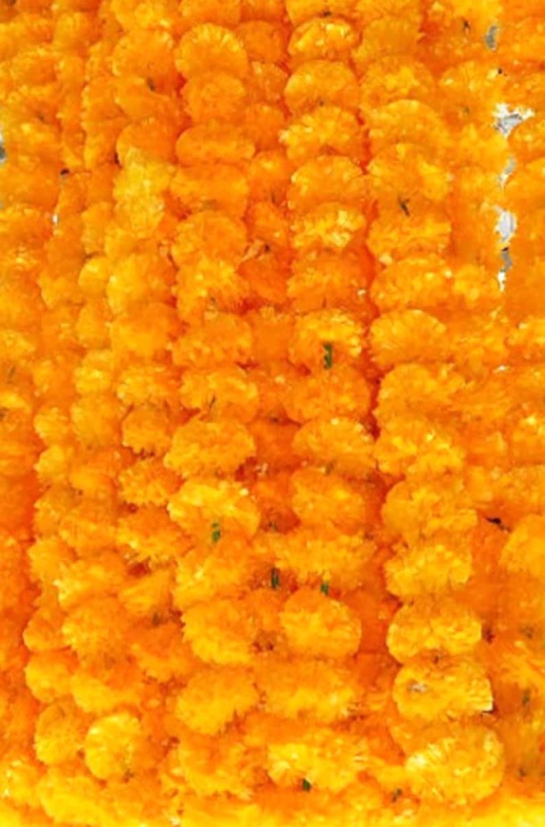 May include: Close-up of a vibrant display of marigold flowers, showcasing their bright orange color. The flowers are densely packed, creating a textured, eye-catching visual. The image highlights the natural beauty of the blooms.