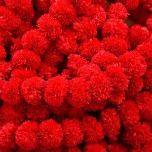 May include: A close-up view of a collection of vibrant red, fluffy pom-poms. The pom-poms are densely packed together, creating a textured and visually appealing display. The image showcases a festive and decorative theme.