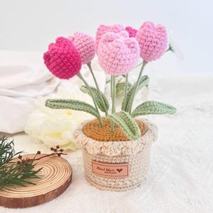 Handmade Crochet Tulip Potted Plant - Colorful Hand-Knit Flower Pot, Aesthetic Home Desk Decor, Mother's Day Birthday Gift for Her