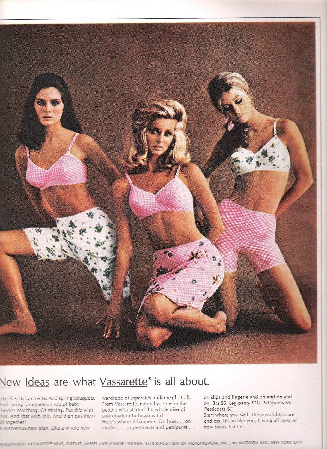 1967 Lingerie Ad Hollywood Vassarette Floral on Gingham Bra Slip