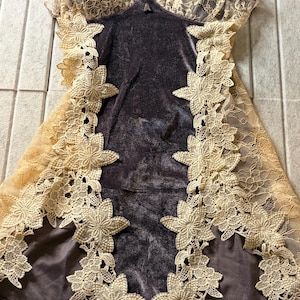 May include: A dark brown velvet camisole featuring beige lace trim along the neckline and sides. The garment is accented with vertical floral lace appliqu&eacute;s that run down the front, complemented by thin adjustable shoulder straps.