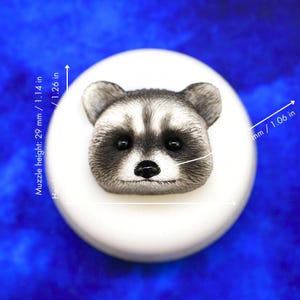 May include: A white, oval-shaped object with a detailed raccoon face sculpted on top. The raccoon has black eyes, a black nose, and gray and white fur. The muzzle height is 1.14 inches, and the width is 1.06 inches. The background is a solid blue.