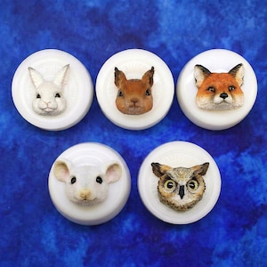 Set van 5 dierenvormen: uilvorm, vosvorm, eekhoornvorm, konijnvorm, muisvorm, knutselbenodigdheden, uniek cadeau voor kunstenaars en poppenmakers.