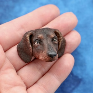 Puede incluir: Una escultura en miniatura detallada de la cabeza de un perro salchicha. La escultura presenta detalles realistas, con pelaje marrón y canela, una nariz negra y ojos expresivos. La cabeza del perro se sostiene en una mano sobre un fondo azul.