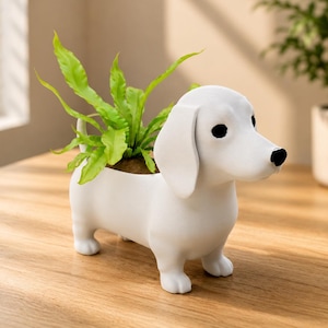 May include: A white dachshund-shaped planter with a smooth matte finish, featuring black eyes and a black nose. The hollow back of the dog serves as a container for a small green fern plant with bright, pointed leaves extending upwards.