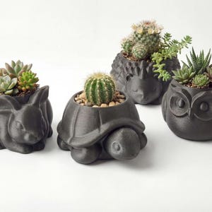 May include: Four dark gray animal-shaped planters, each holding a succulent or cactus. The planters are a rabbit, turtle, hedgehog, and owl. The plants have green and brown tones, contrasting with the dark gray of the planters.
