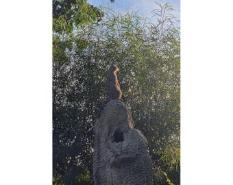 Cute Meerkat Jigsaw Puzzle, Wildlife Photography Puzzle for Adults, Nature Lover Gift, Unique Animal Portrait Challenging Puzzle