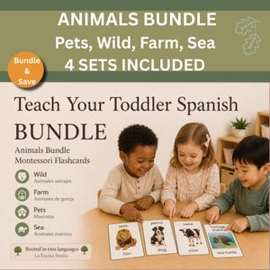 Op de afbeelding: Een set dieren flashcards voor peuters, met afbeeldingen van een leeuw, hond, koe en zeeschildpad. De kaarten zijn ontworpen om Spaans te leren, met tekst in het Engels en Spaans. De tekst "ANIMALS BUNDLE" is zichtbaar.