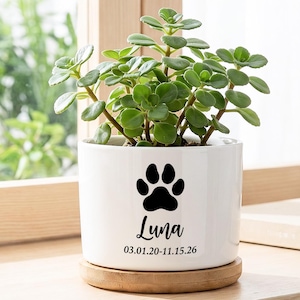 May include: A white cylindrical ceramic planter with a wooden base containing a green succulent plant. The front of the planter features a black paw print graphic above the name Luna and the dates 03.01.20-11.15.26 printed in black text.