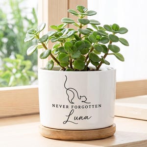 May include: A white ceramic cylindrical planter with a bamboo saucer containing a green succulent plant. The front of the planter features a black line drawing of a cat and the text "NEVER FORGOTTEN" above the name "Luna" in script.
