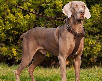 Pettorina in pelle per cani fatta a mano / Pettorina da addestramento resistente e anti-tiro per cani di grossa taglia / Pettorina in pelle resistente e regolabile per animali domestici