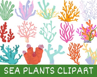 Sea Plants Clipart PNG Bundle, Ocean & Marine Plant Illustration, Underwater Botanical Clipart, Sublimation Design