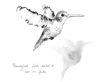 Hummingbird