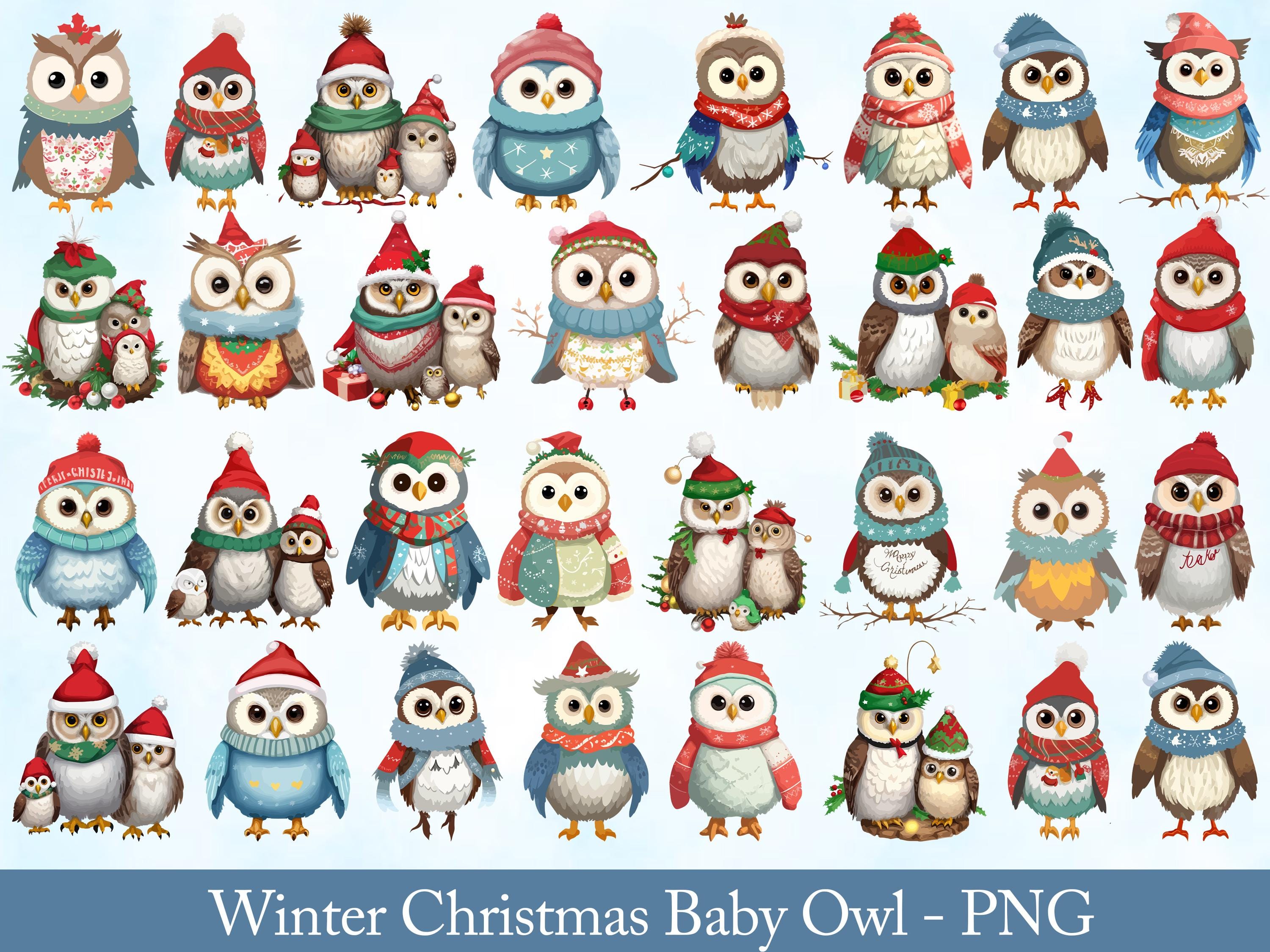 Cute Winter Christmas Baby Owl PNG | Adorable Holiday Owl Clipart | Christmas Sublimation Design