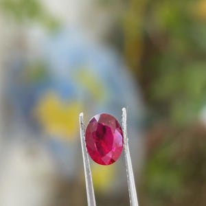 Puede incluir: Un rubí ovalado y vibrante sostenido por unas pinzas plateadas. La gema muestra un tono rojo intenso con facetas visibles, reflejando la luz. El fondo está borroso, con toques de verde y amarillo.