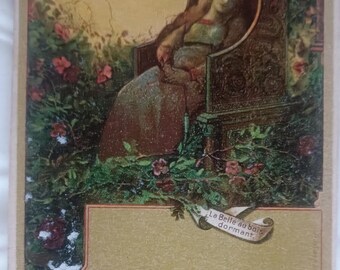 Carte postale française ancienne, romantique , 1902. Parfait état de conservation