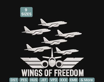 Diseño de bordado de aviones de combate estadounidenses: archivo de bordado a máquina de aviones militares, 9 tamaños incluidos, horario de verano y más