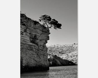 Tyst klippa – Svartvitt fotografi av klippträd, minimalistisk kustväggkonst, konst med ensamt träd, skandinavisk naturdekor