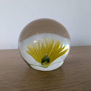 Vintage glass Chrysanthemum flower art paperweight approx 8cm x 6cm collectable