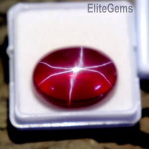 May include: A deep red oval cabochon gemstone featuring a distinct six-rayed star effect known as asterism. The gemstone is displayed in a small white plastic box with the text EliteGems printed in black on the white interior lining.