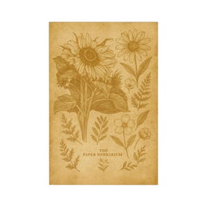 Vintage Floral Postcards Set | 7 Rustic Botanical Note Cards | Perfect for Stationery, Gift Tags, Invitations, Home Décor