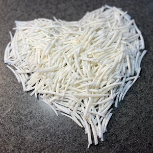 1 lb Large smooth unsorted white dentalium vernadai shell bulk FREE USA SHIPPING 1.5-2 Inch mix