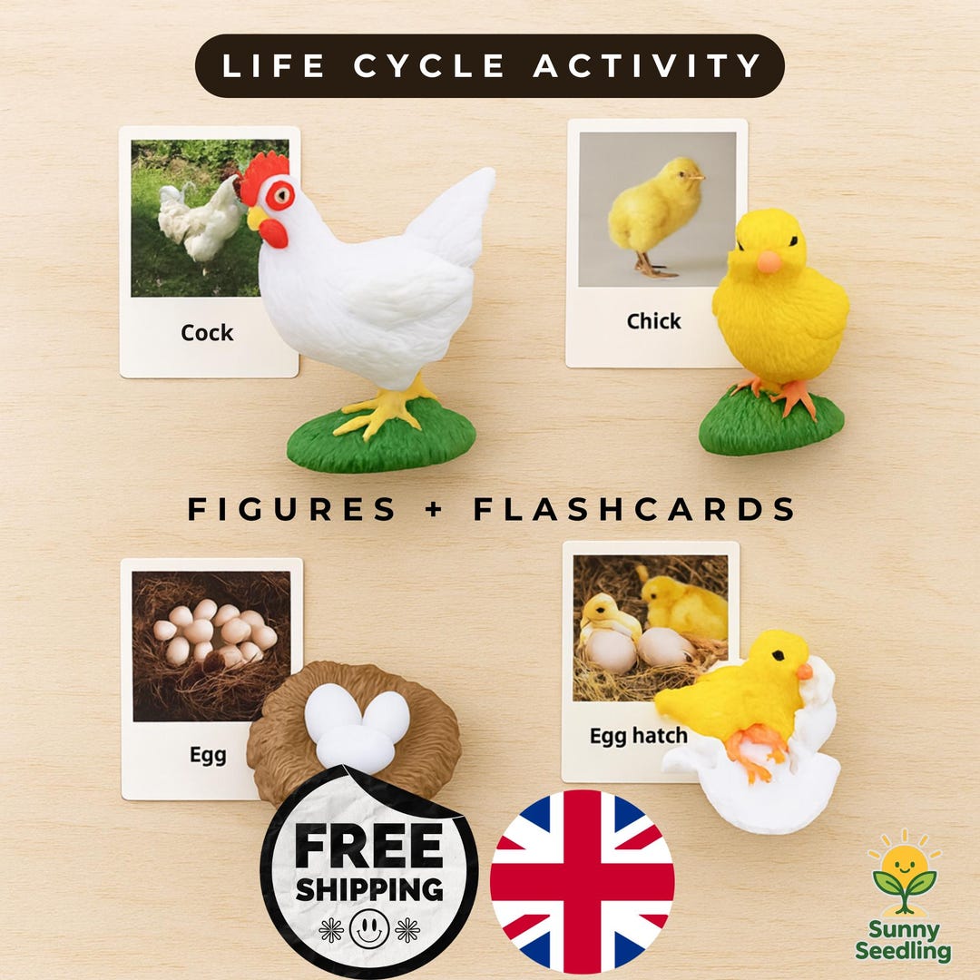 Animals Life Cycle Activity Pack, Engaging Science Learning for ...