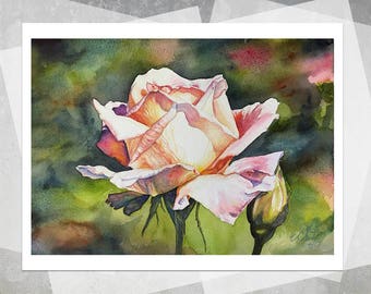 new lily giclee print