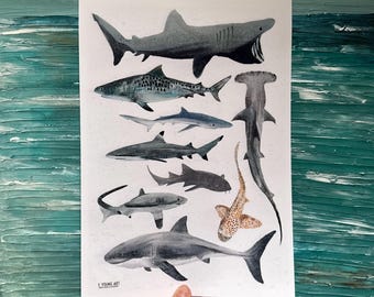 ハワイのサメの影 - Etsy 日本