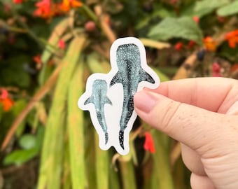 Pegatina de tiburón ballena / Ilustración de vida marina oceánica