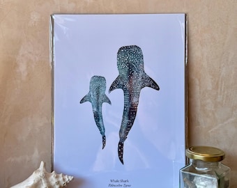 May include: A rectangular art print featuring a watercolour illustration of two whale sharks on a white background. The text "Whale Shark Rhincodon Typus" is printed in black at the bottom centre of the print, which is encased in a clear plastic sleeve.