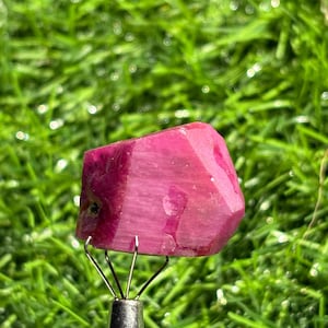 Puede incluir: Una gema de rubí en bruto facetada, que exhibe un tono rosa-rojizo intenso. La gema está sujeta por una herramienta de metal plateado, con un fondo verde borroso de hierba. El rubí tiene una apariencia natural y sin pulir.