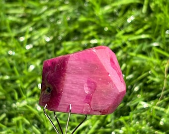 Puede incluir: Una gema de rubí en bruto facetada, que exhibe un tono rosa-rojizo intenso. La gema está sujeta por una herramienta de metal plateado, con un fondo verde borroso de hierba. El rubí tiene una apariencia natural y sin pulir.