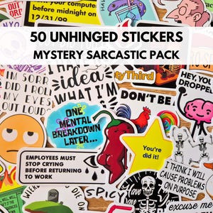 Sarkastisch, witzig & trockener Humor Aufkleber | Lustige Aufkleber für Freunde, Büro, Journals, Geschenke, Wasserflaschen, Journals, Kindle, Laptop